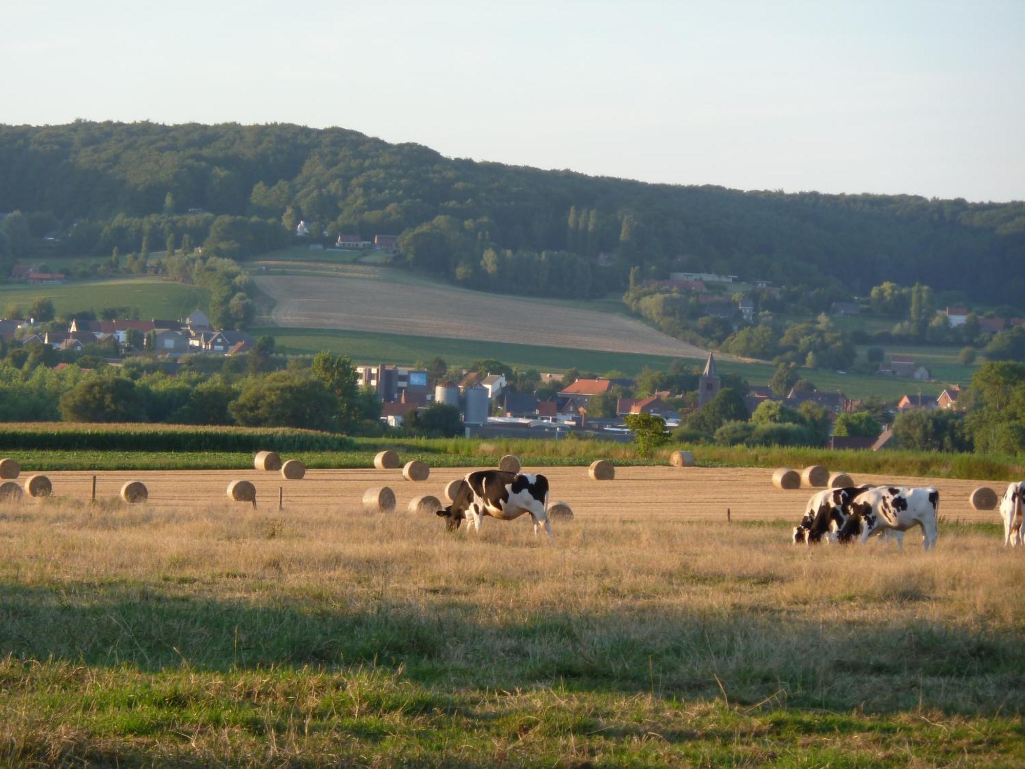 Entre Monts Et Collines B&B Et Spa En Option Kültér fotó
